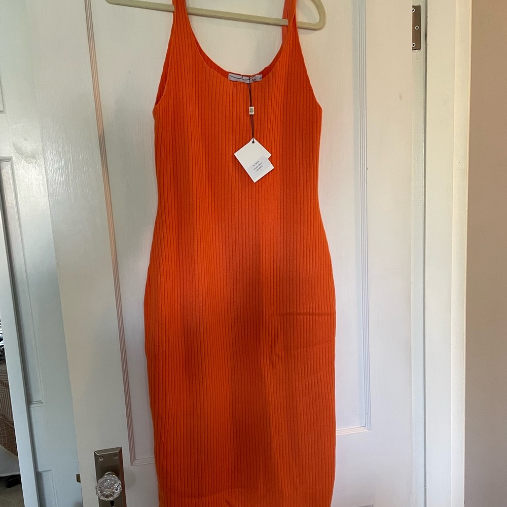 NWT Laurie dress